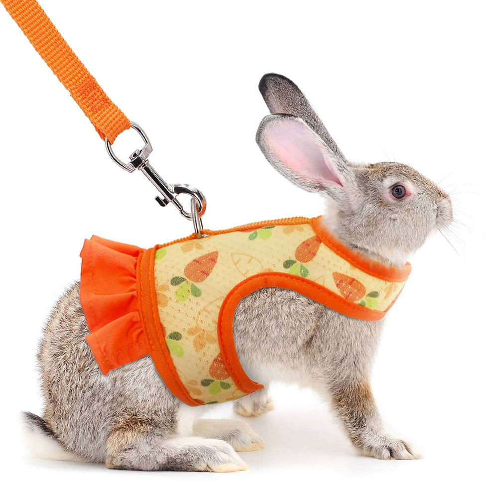 Thumbnail: A pet universal rabbit chest strap set with cute radish print outdoor traction r