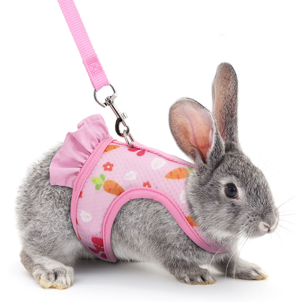 Thumbnail: A pet universal rabbit chest strap set with cute radish print outdoor traction r