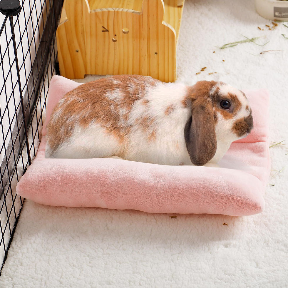 Thumbnail: Rabbit Bed Thickened Soft Bunny Concave Bed Cuddle Cushion Plush Mat with Cotton