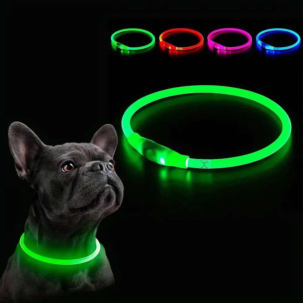 Miniatura: Pet Dog LED Light Collar Luminous Anti-Lost Dog Collar USB Rechargeable Dog