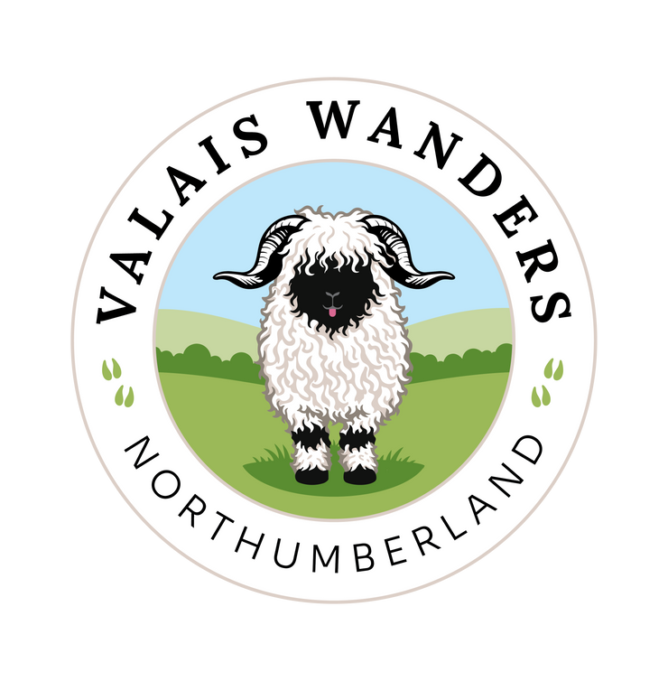 Valais Wanders logo
