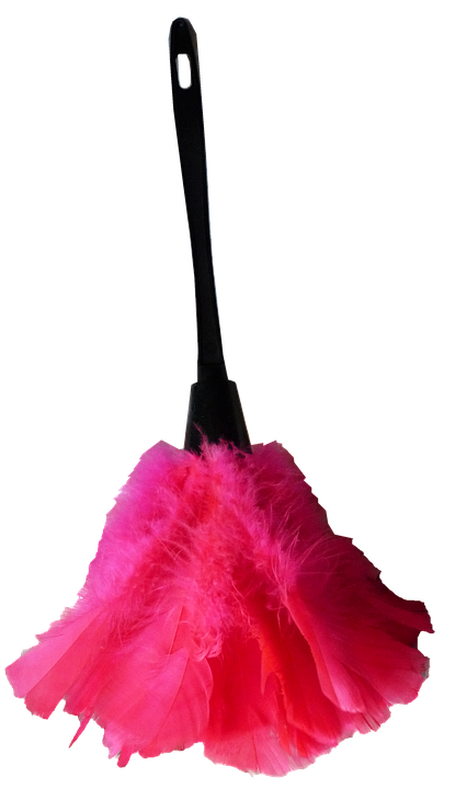 Use a feather duster