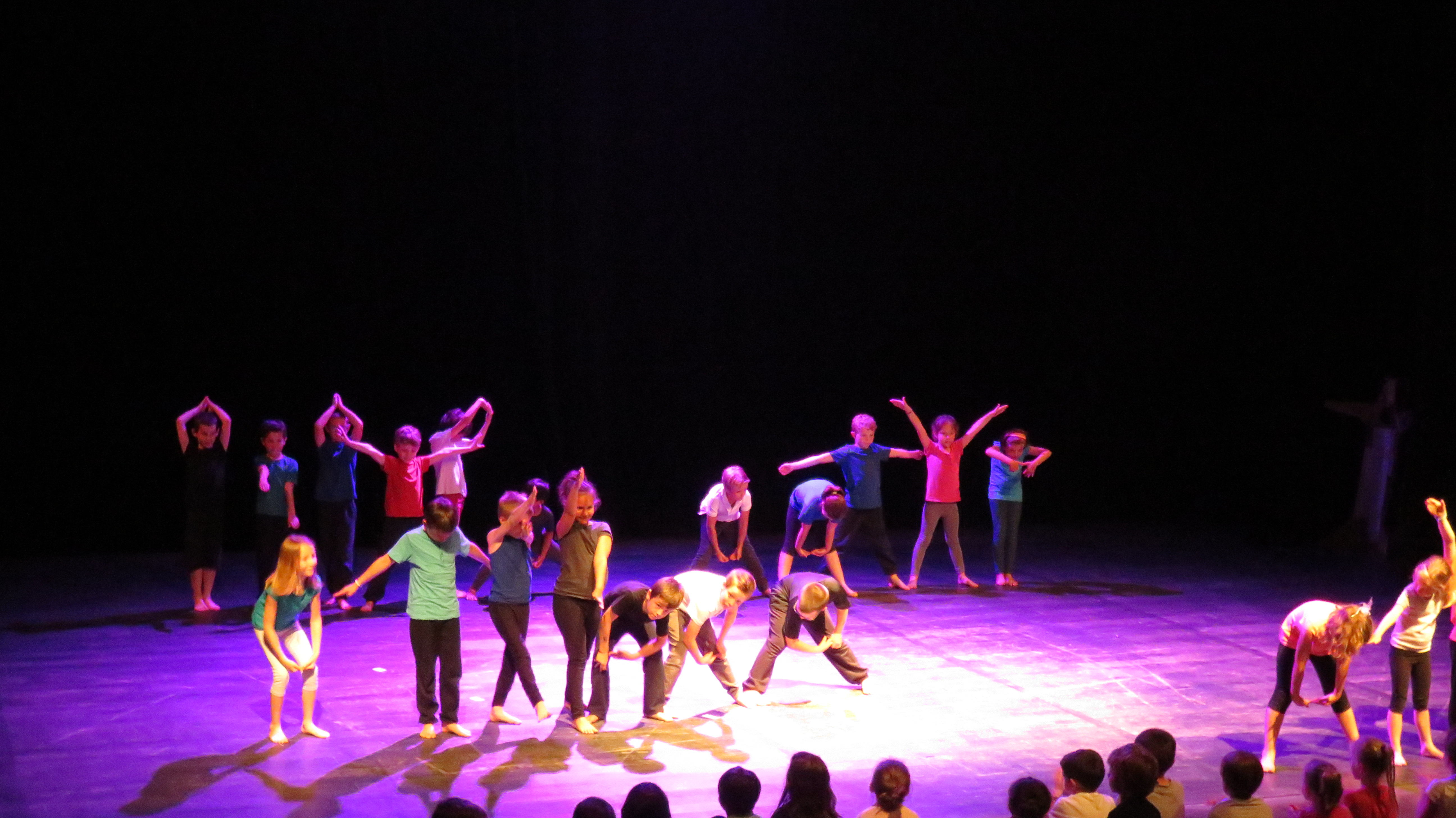 Spectacle de danses