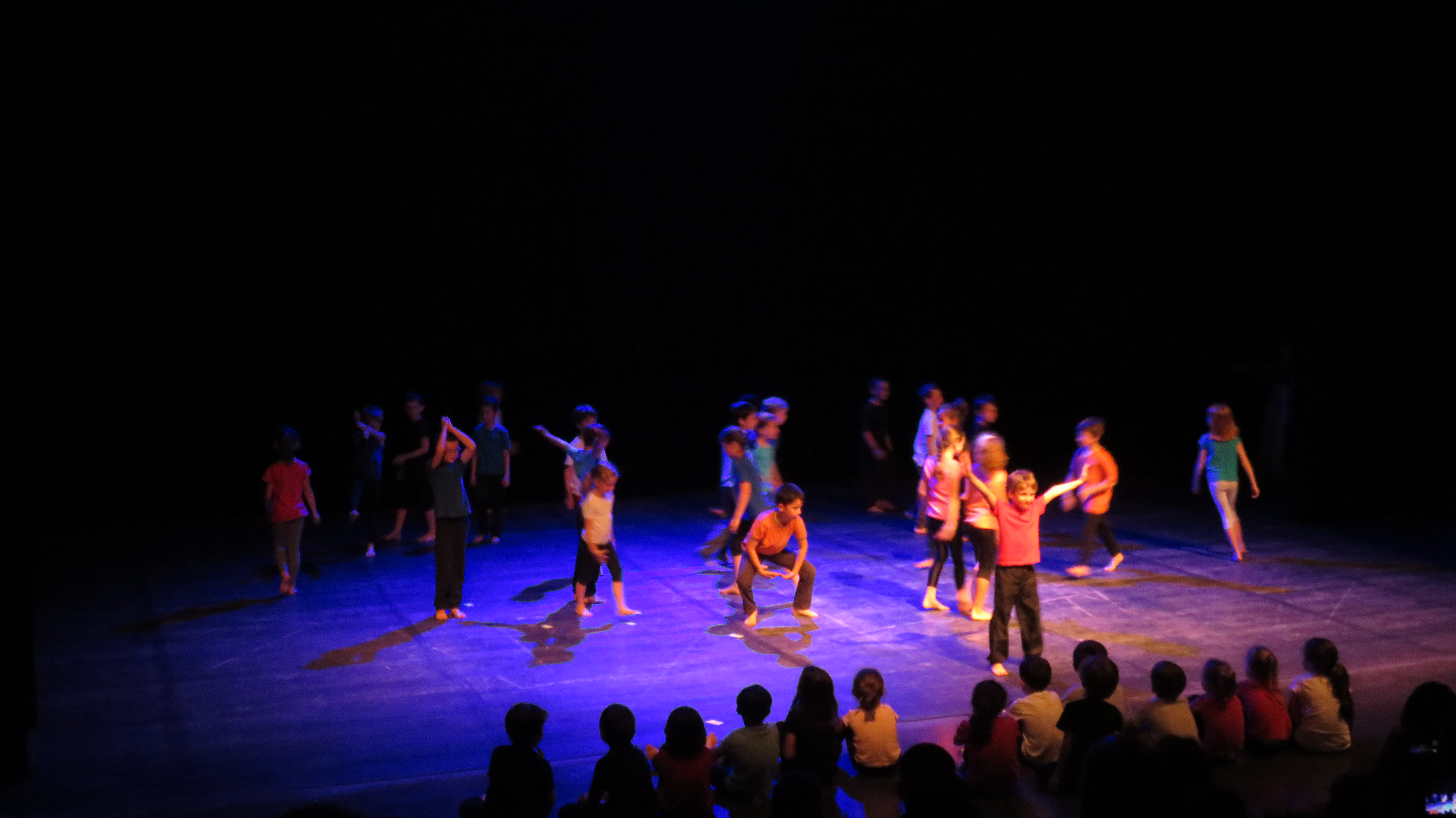 Spectacle de danses