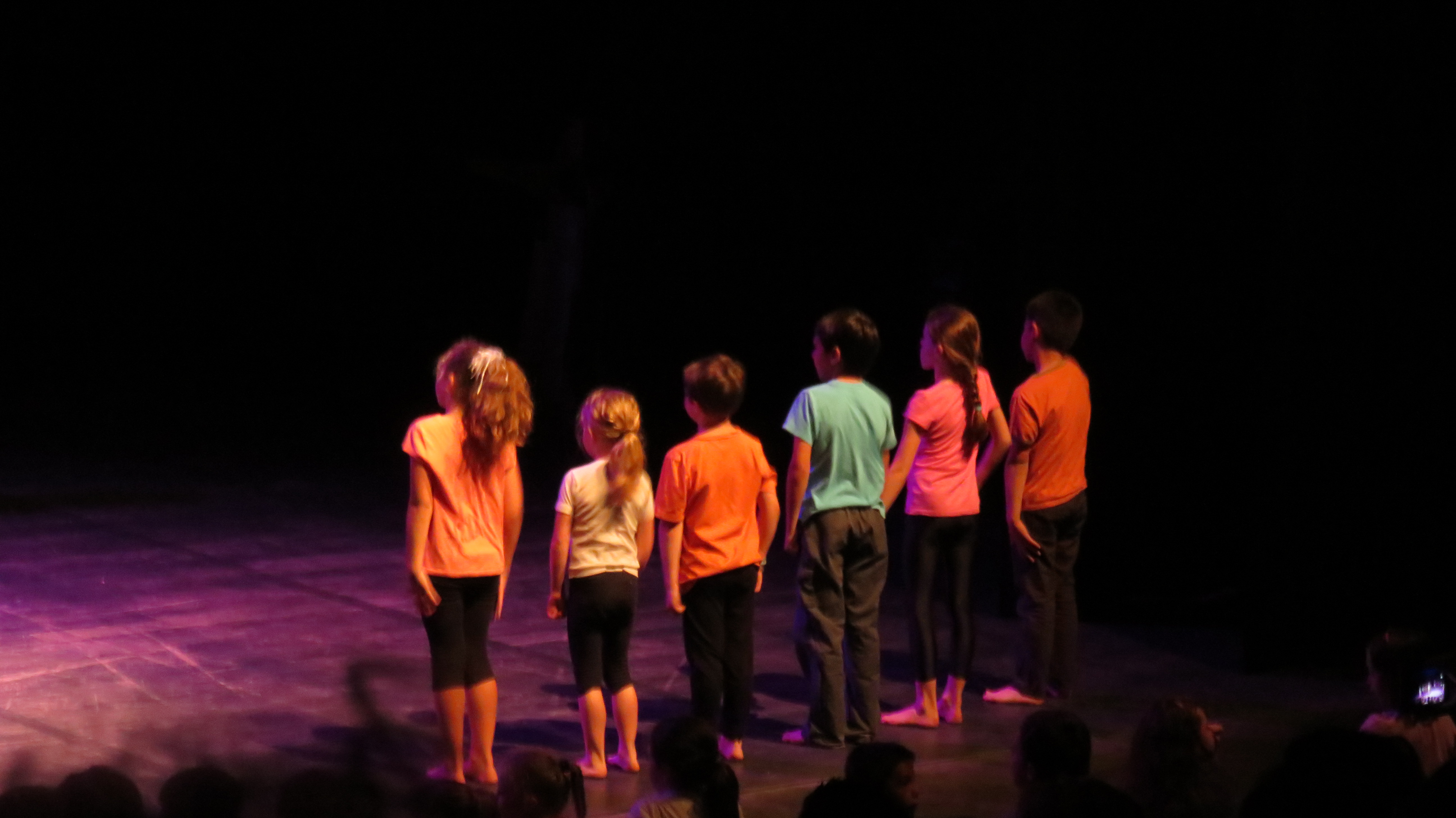 Spectacle de danses