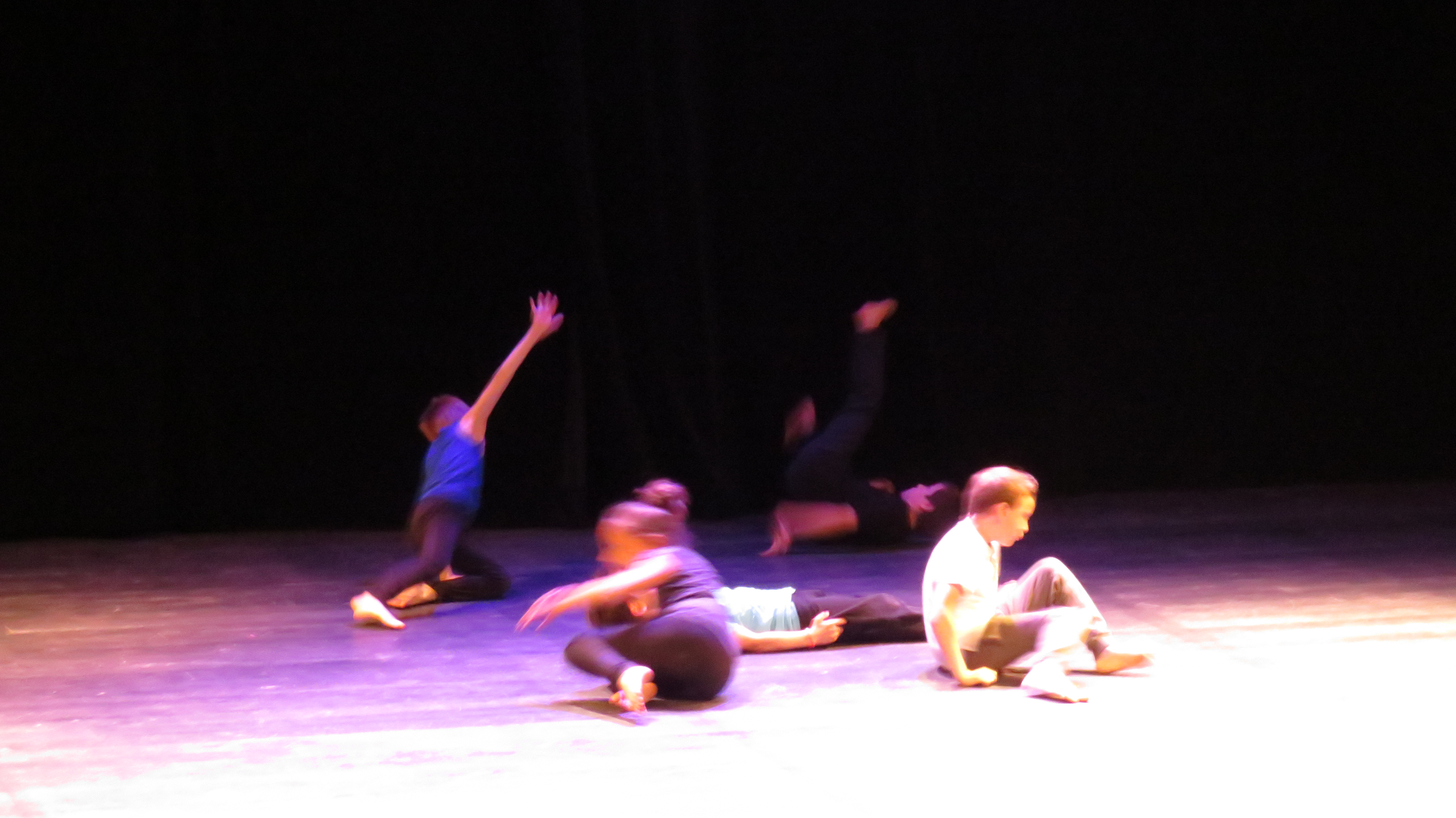 Spectacle de danses