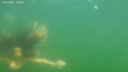 Lake swim up to Camera.gif