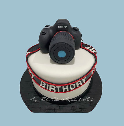 Professional Camera Cake.
