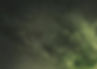 Fondo verde estrellado.jpg