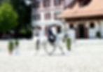 IMG-20230806-WA0056