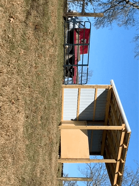IMG_1258.GIF