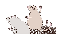 Mice-excited.png