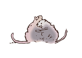 Hugging-mice-1.png
