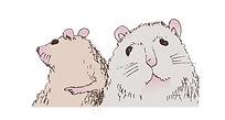 Squeaky-and-Cheesy-closeup.png