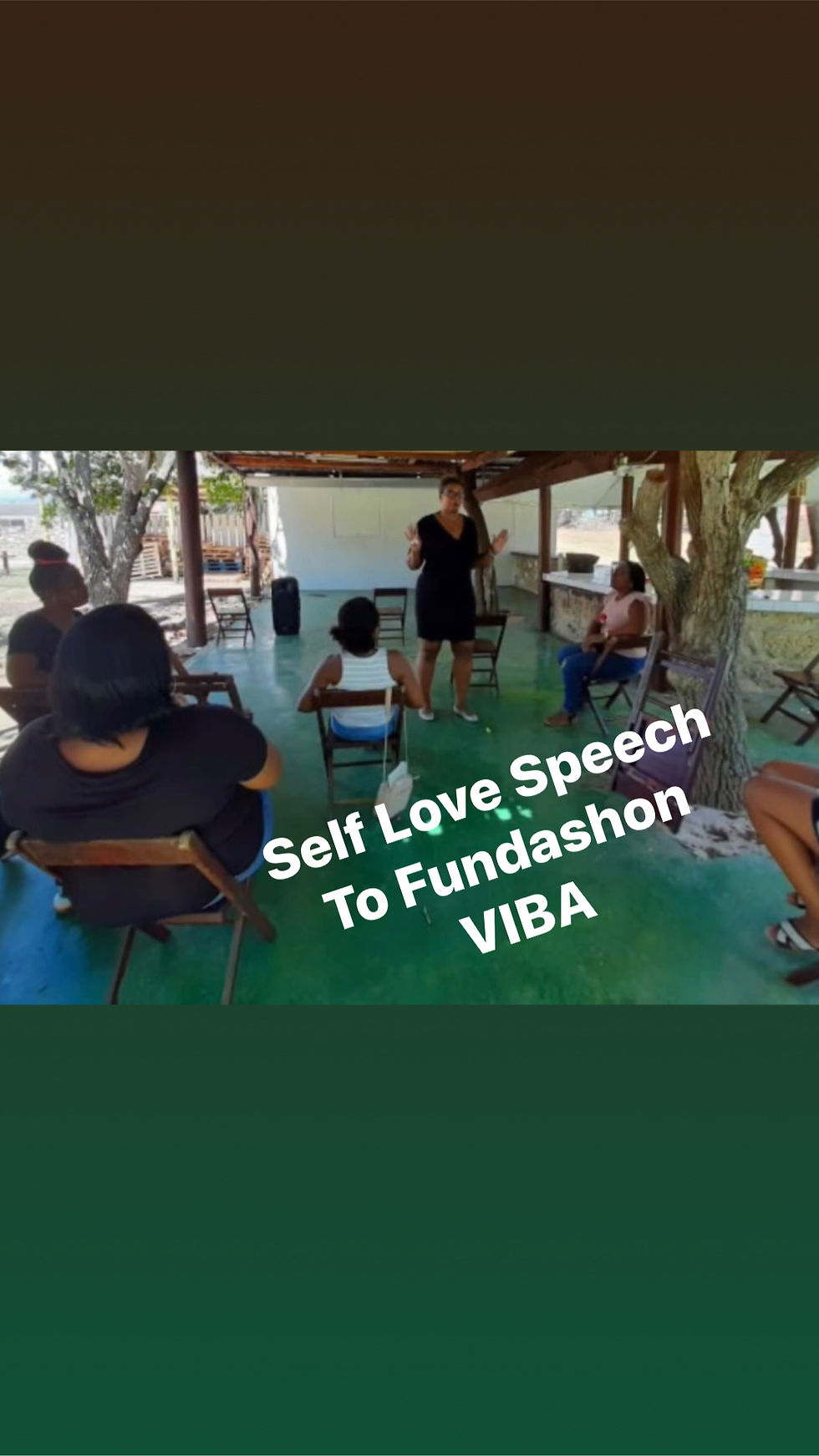 Fundashon VIBA - 2020