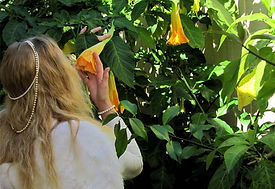 Carol-angelgarden.jpg