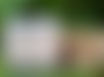 Persimmon & Matcha Green Tea Nonenal Soap now available!