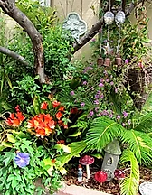 garden-spring