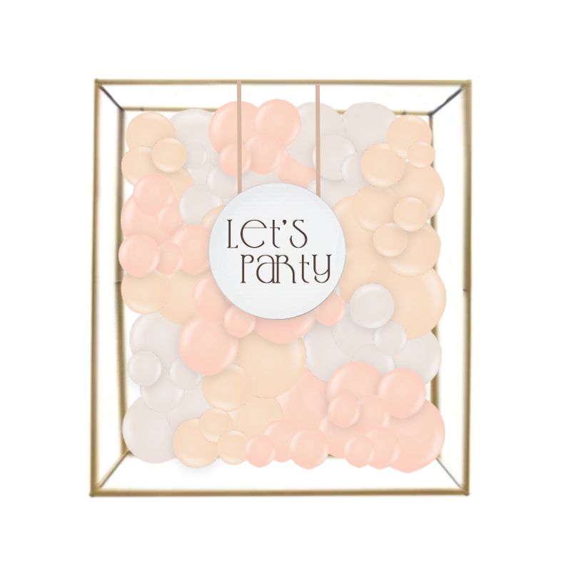Box Frame Option 4