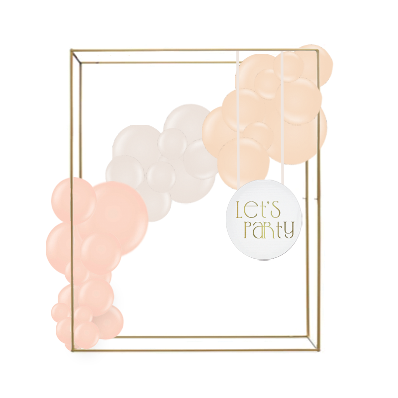 Box Frame Option 1