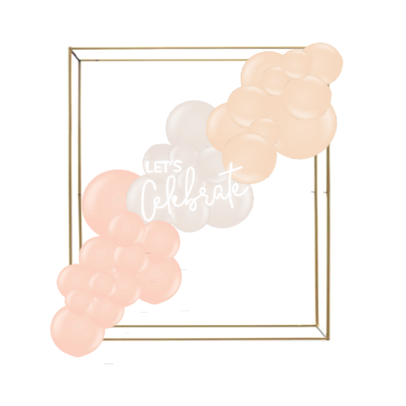 Box Frame Option 3