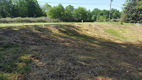 20170426_102300.jpg