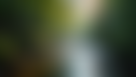 Praying for Your Children: A Guide for Parents