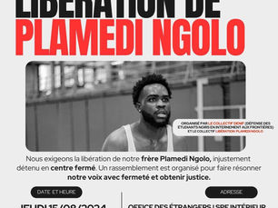 Free PLAMEDI