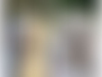 Creating a new chapter for Sola