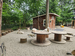 Sand filled dog yard for for the highest level of cleanliness
