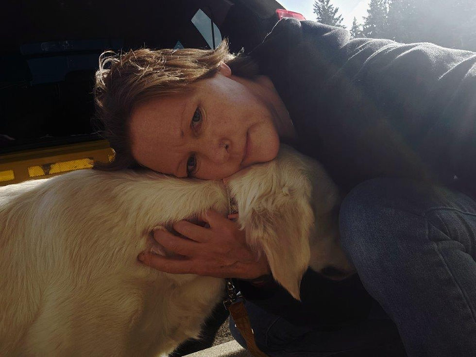 The art of doing nothing