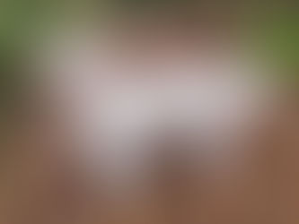 ***REHOMED*** 3 yr. old male Finley