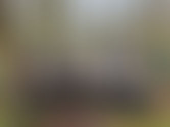 Reunions, Breedings, Cycles, Birthdays and more