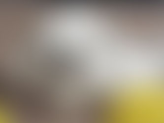 Reindeer Pups 4.5+ wks. old