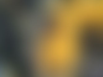 Reflecting on lessons that dogs teach us