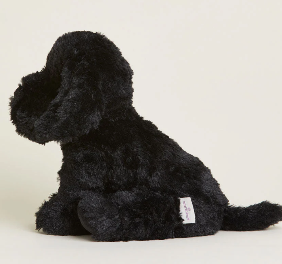 Thumbnail: Warmies Black Lab