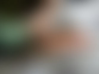 Rriere La Porte Verte Subtitles 1080 Free Torrent Mkv Watch Online Avi