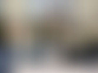 Longfellow and McLean Clubs Lead a Community Conversation on Light Pollution