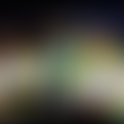 Mark Spooner, Norma Margulies, and Lundquist-Arora campaign for Jackson in 2023