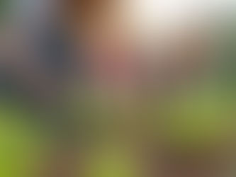 Promoting Environmental Stewardship and Leadership in Virginia