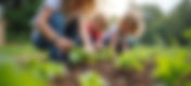 Promoting Environmental Stewardship and Leadership in Virginia