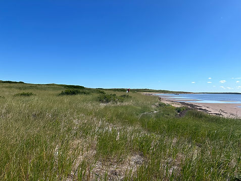 20250820_9752 beach.JPG