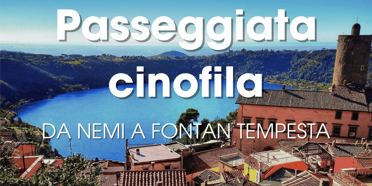 Eventi AB&S Facebook (1001 × 1000 px) (1200 x 600 px).gif