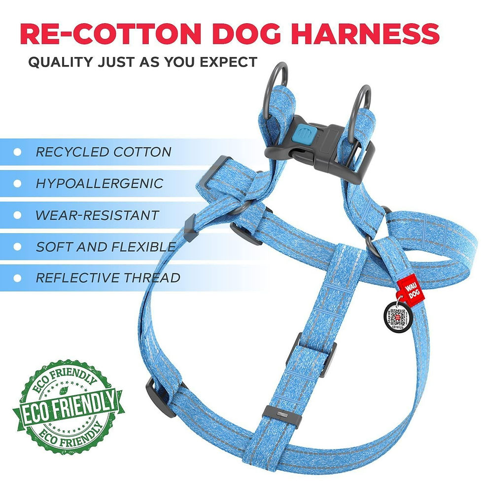 Thumbnail: Blue Cotton Dog Harness Eco Friendly Dog Harness for Small Dogs S Size