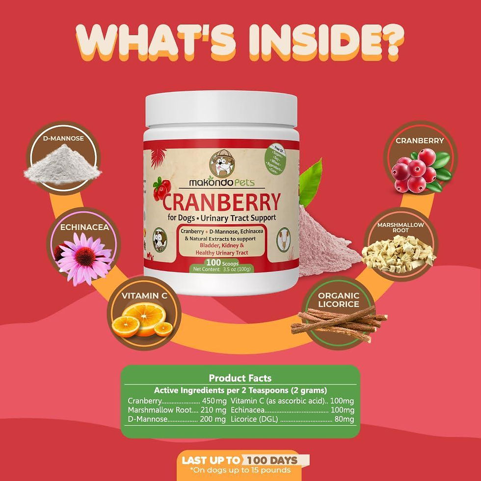 Thumbnail: Dog Cranberry Supplement   Natural Dog UTI Treatment & Kidney Support for Dogs.