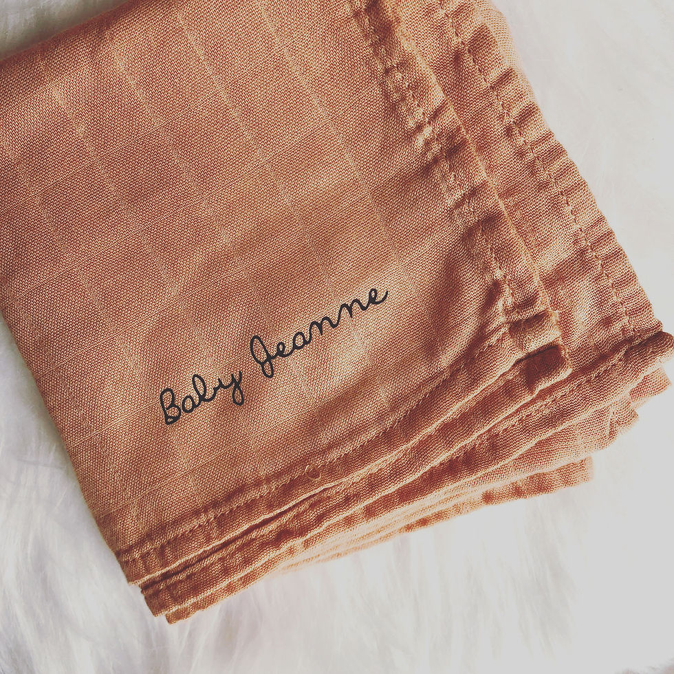 Miniature : Georges le lange