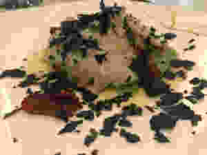 Seppia grigliata con cavolo nero @Elisabetta Lancellotti