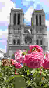 Notre Dame @Ilaria Giacomello