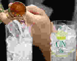 The Gin Day ©Theginday