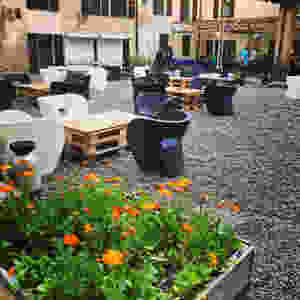 Mare culturale urbano © Ilaria Giacomello